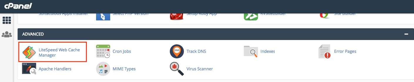 cPanel Advanced section with LiteSpeed Web Cache Manager highlighted