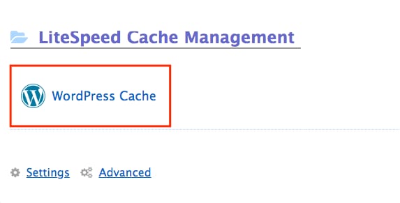 LiteSpeed Cache Management with WordPress Cache highlighted