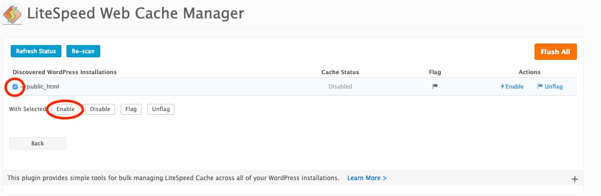 LiteSpeed Web Cache Manager with the public_html checkbox and Enable button highlighted