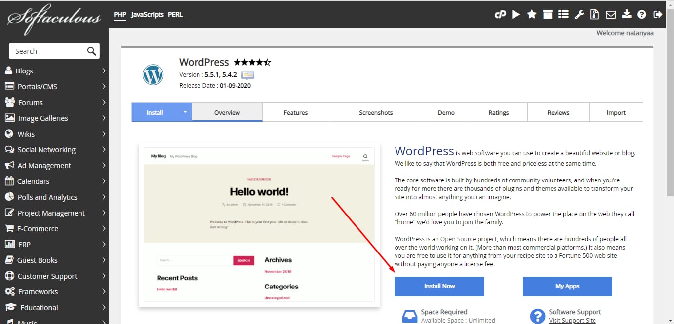 Softaculous WordPress page with the Install Now button highlighted
