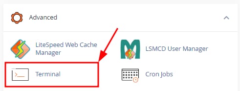 Hostinger cPanel Advanced section with Terminal option highlighted