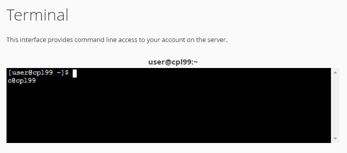 Hostinger cPanel terminal showing command-line prompt user@cp199~