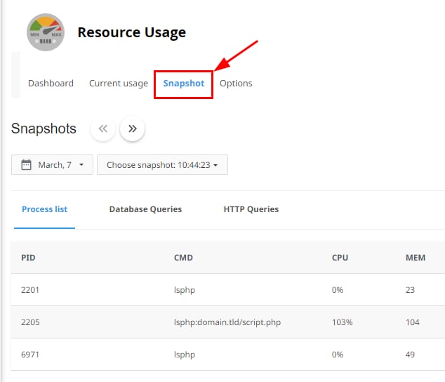 cPanel Resource Usage page with the Snapshot tab highlighted
