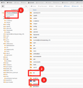 Hostinger cPanel File Manager showing home directory and mail folder highlighted