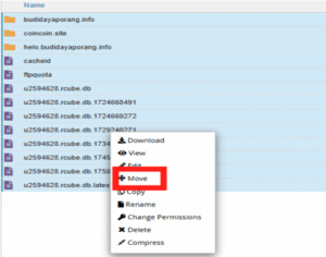 cPanel file manager context menu with Move option highlighted