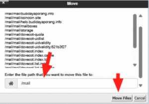 cPanel Move dialog with /mail path selected and Move Files button highlighted