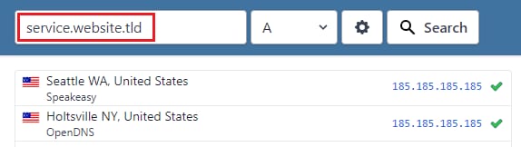 Hostinger DNS search field with service.website.tld entered and highlighted