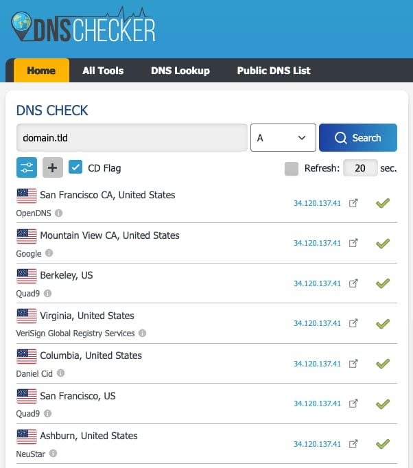 DNS checker results showing A record lookups for domain.tld across multiple locations
