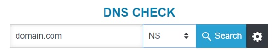 DNS Check search bar with domain.com and NS selected next to a Search button