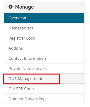 Domain management menu with DNS Management highlighted