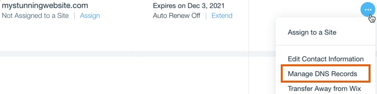 Wix domain menu with Manage DNS Records option highlighted