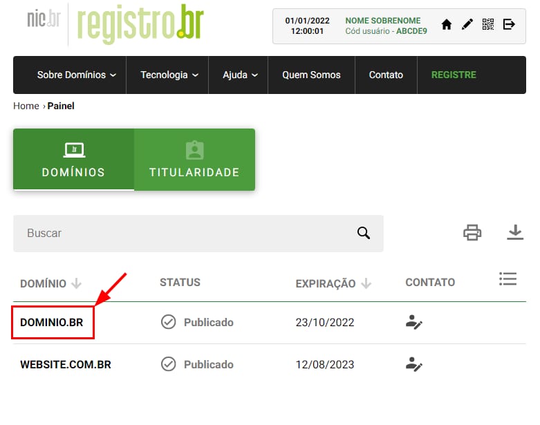 Registro.br domains panel with DOMINIO.BR highlighted in the domain list