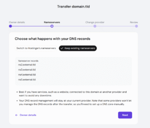 Domain transfer nameservers step with Keep existing nameservers selected and Next button