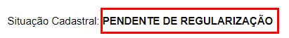 CPF status: Pendente de Regularização highlighted next to Situação Cadastral