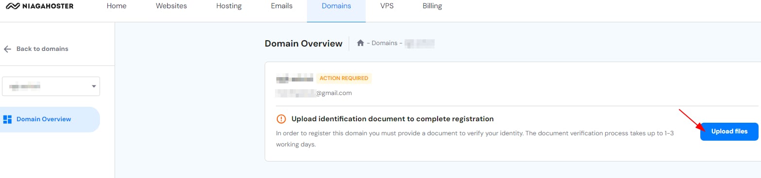 Domain Overview page with highlighted Upload files button for identity document submission