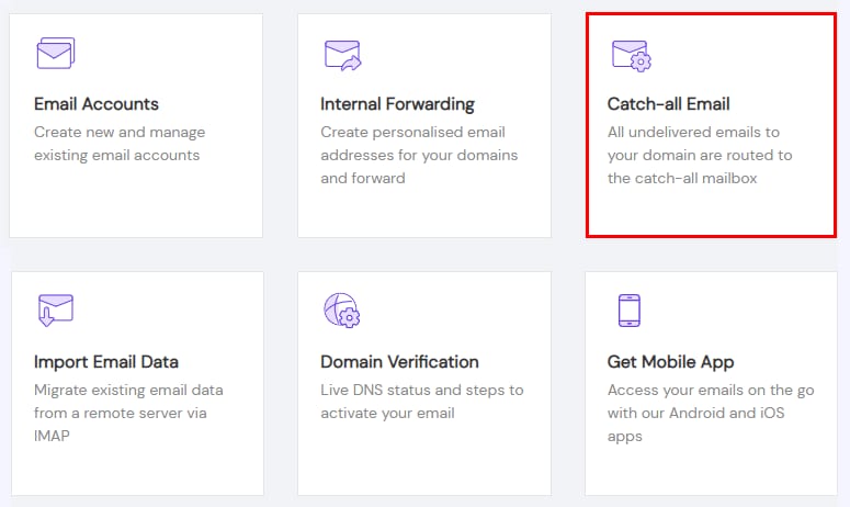 Titan Email catch-all email option highlighted in the Hostinger email tools menu