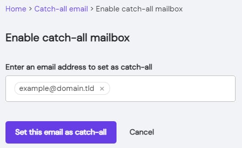 Hostinger Titan Email catch-all setup screen with email address field and Set this email as catch-all button