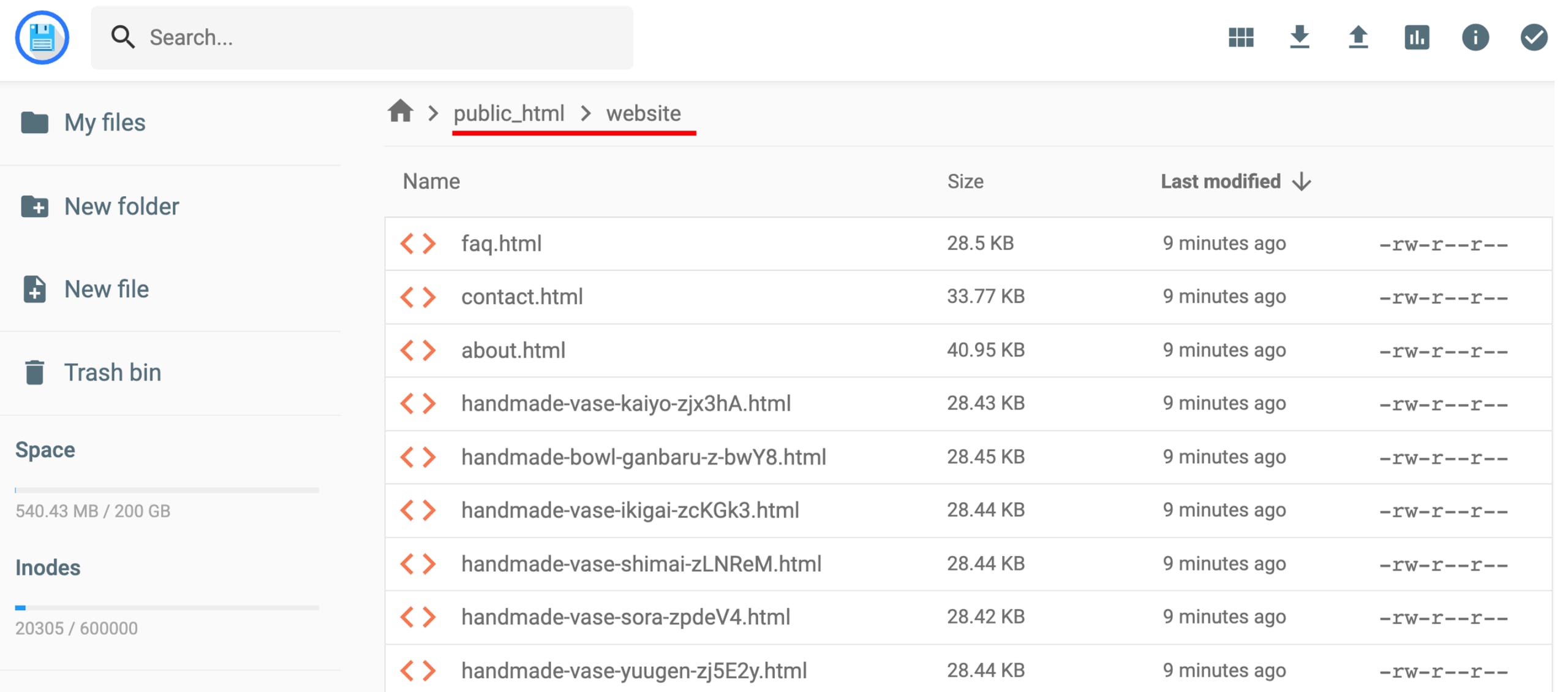 Hostinger File Manager showing the public_html/website folder breadcrumb highlighted