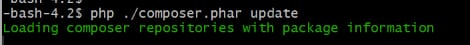 Terminal running composer.phar update on a dark screen with green text