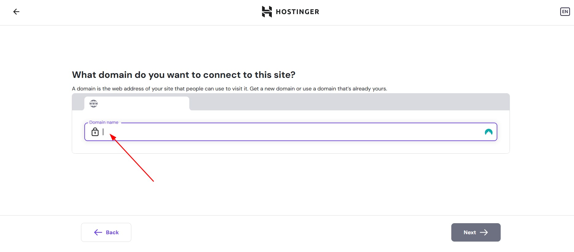 Hostinger domain management screen with highlighted domain name input field
