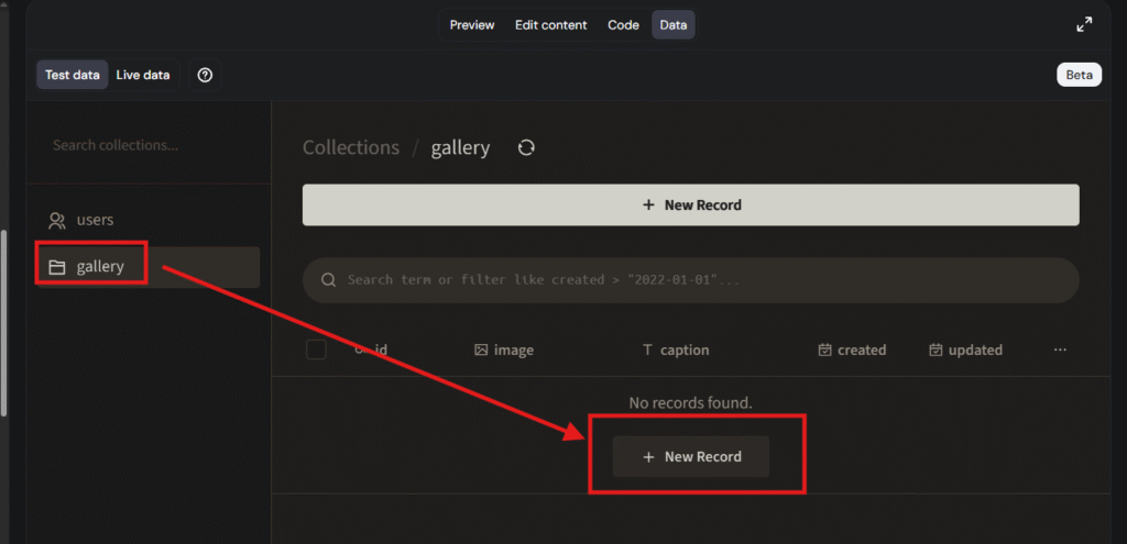 Data panel showing gallery collection with highlighted New Record button and sidebar item