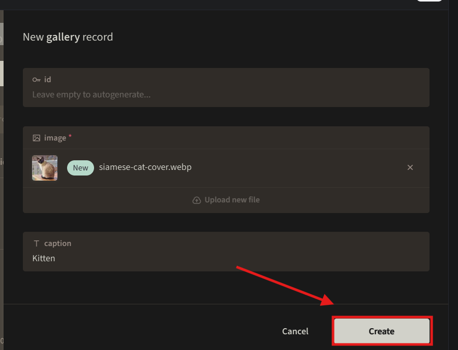 Create button highlighted in a new gallery record form