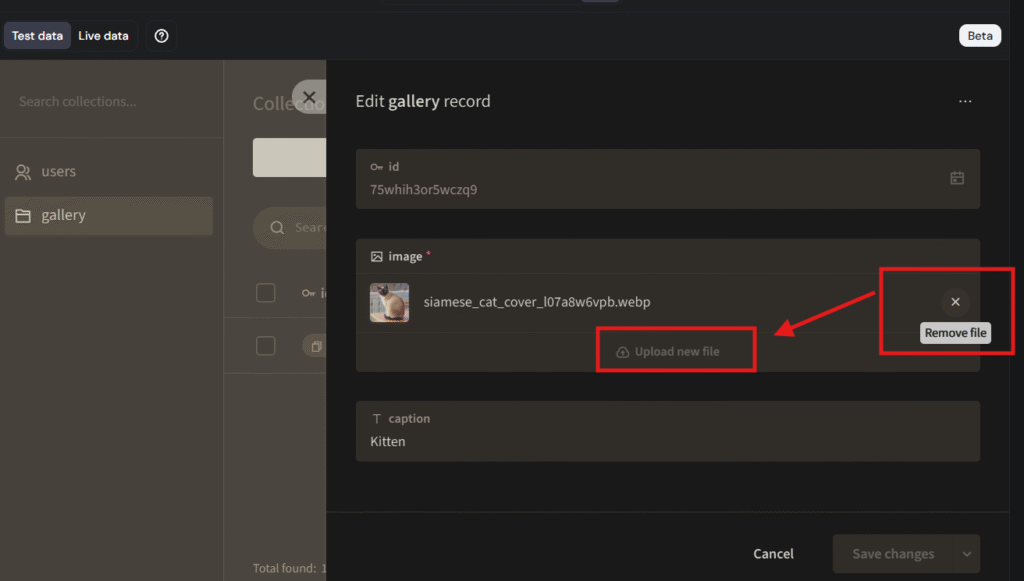 Gallery record edit form with Remove file button highlighted in the image field