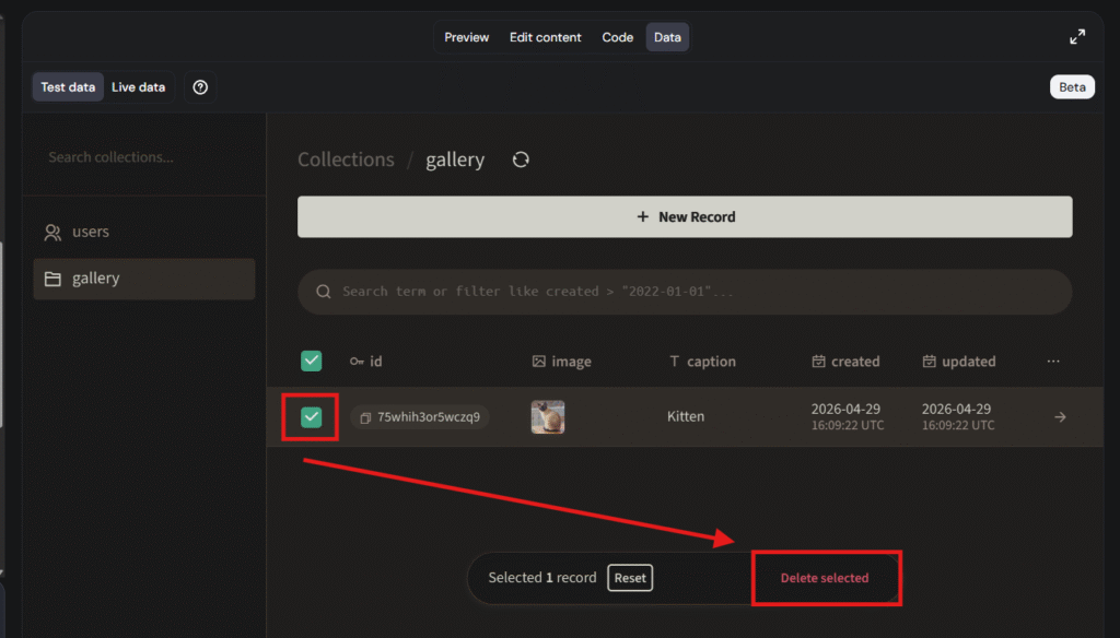 Selected gallery record checkbox and Delete selected button in data table