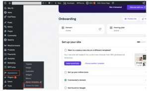 WordPress Appearance menu with Theme File Editor selected
