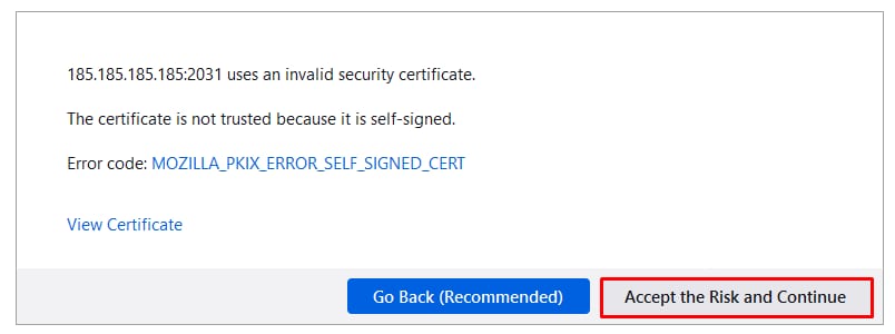VPS browser warning with the “Accept the Risk and Continue” button highlighted
