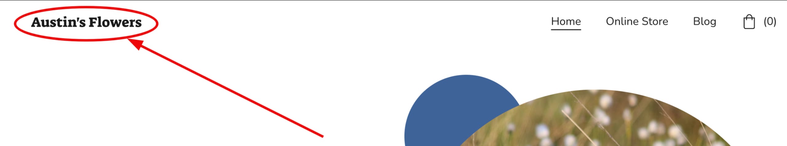 Austin's Flowers logo highlighted in the header