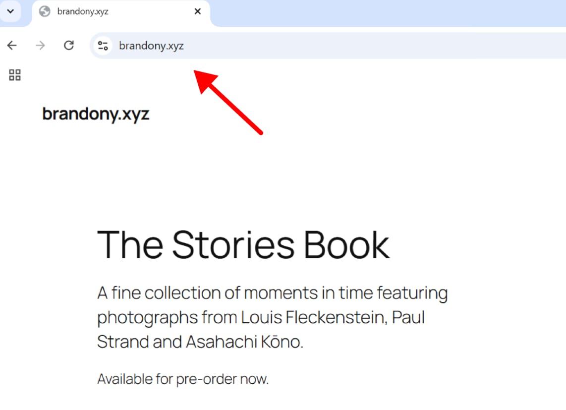 Chrome address bar showing brandony.xyz with the domain highlighted by a red arrow