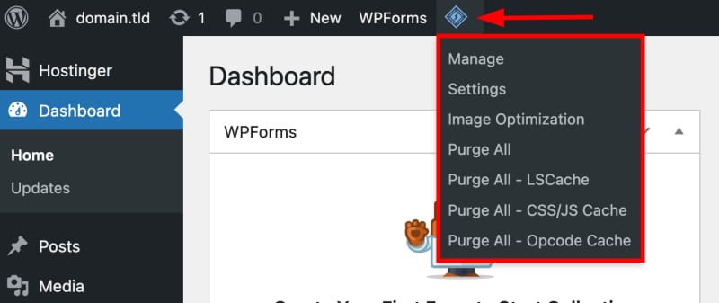 LiteSpeed Cache dropdown showing Purge All - LSCache option highlighted